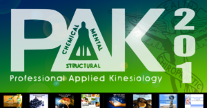 Professional Applied Kinesiology Course 201